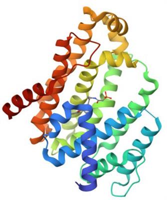 Napthyridine-derived compounds as promising inhibitors for Staphylococcus aureus CrtM: a primer for the discovery of potential anti-Staphylococcus aureus agents